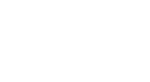 wtf logo wit